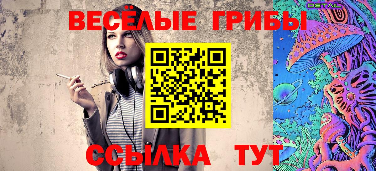 Клин  Галлюциногенные грибы Psilocybine cubensis  Вход с VPN 